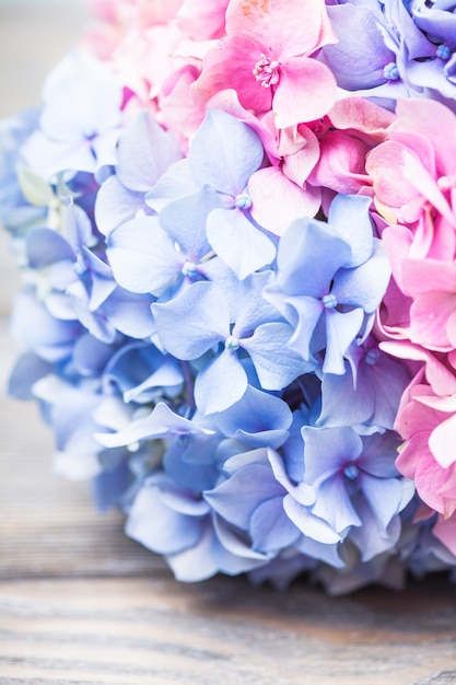 Hydrangea flowers close up on the table