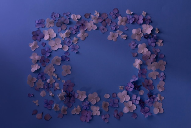 어두운 파란색 배경 에 있는 호드렌지아 꽃