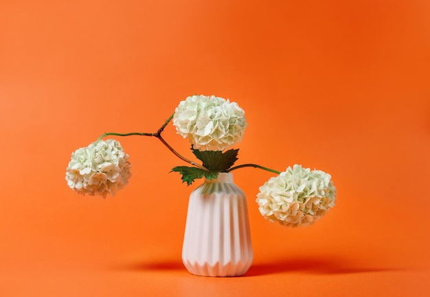 Hydrangea flowers in a white vase on an orange background with copy space