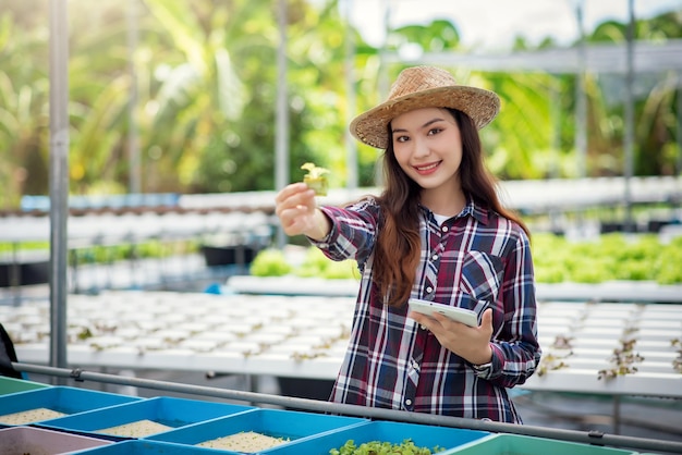 Hydrocultuur groenteboerderij. Mooie Aziatische boer die hydrocultuur groenteteelt en analyseert. Concept het kweken van biologische groenten en natuurvoeding.