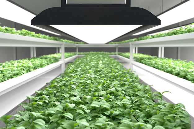 Hydroponic groenteplantenfabriek