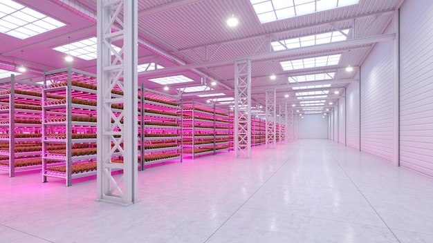 Hydroponic indoor vegetable plant factory in exhibition space warehouse Interior of the farm hydroponics Green salad farm Lettuce Roman growing in greenhouse with led lightning 3D render