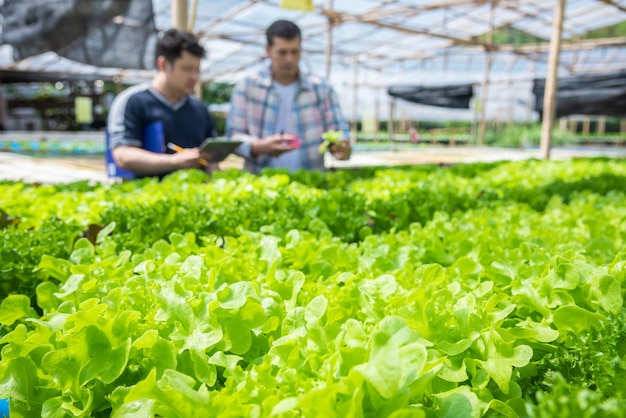 Hydroponic landbouwbedrijfeigenaar die pH van water en temperatuur agrarisch milieu groeiend concept controleren.