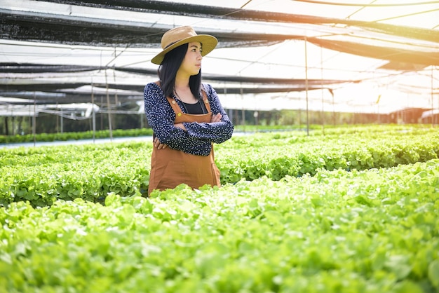 水耕栽培農場から収穫された水耕野菜 新鮮なグリーン オーク サラダ 庭で育つ女性庭師と水耕植物 土なし農業 有機 健康食品 自然