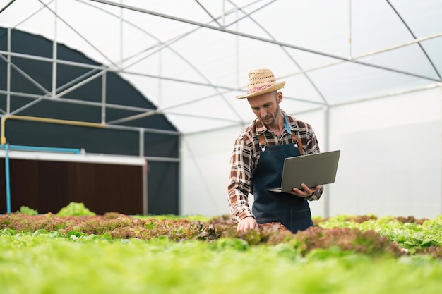 Photo hydroponics vegetable farm male farmer checking vegetables from his hydroponics farm concept of growing organic vegetables and healthy food