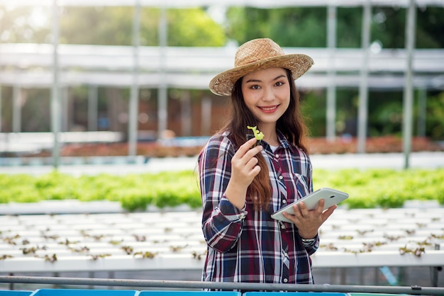 수경 재배 야채 농장. 젊은 아시아 여자는 그녀의 수경법 농장에서 수확 야채 미소. 유기농 야채와 건강 식품 재배의 개념.