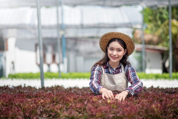 Fattoria di ortaggi idroponici. sorriso della giovane donna asiatica che raccoglie verdure dalla sua fattoria idroponica