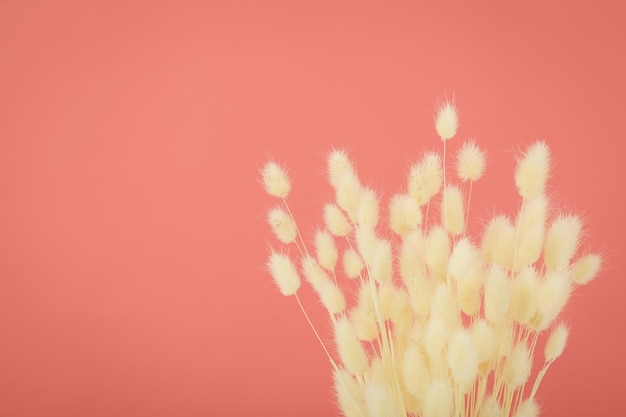 Hygge concept dried flowers on pink background