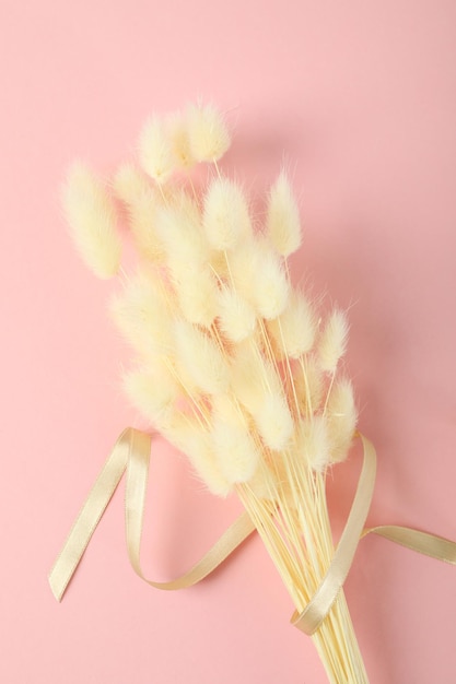 Hygge concept gedroogde bloemen op roze achtergrond