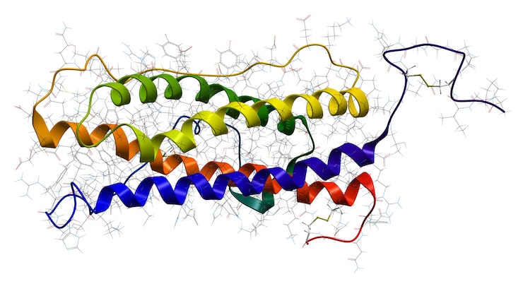 Photo hyman prolactin hormone. molecular structure