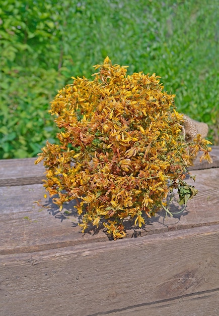 Hypericum perforatum dried