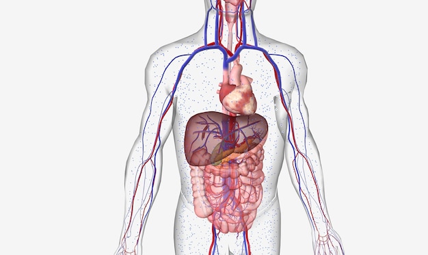 Foto l'ipoglicemia è una condizione caratterizzata da bassi livelli di glucosio nel sangue