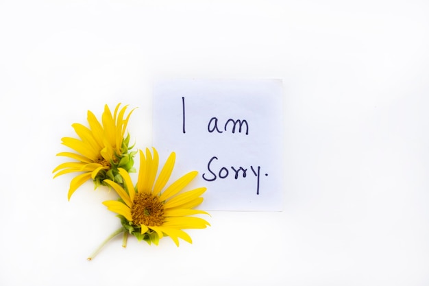 i am sorry message card handwriting with sunflowers arrangement postcard style