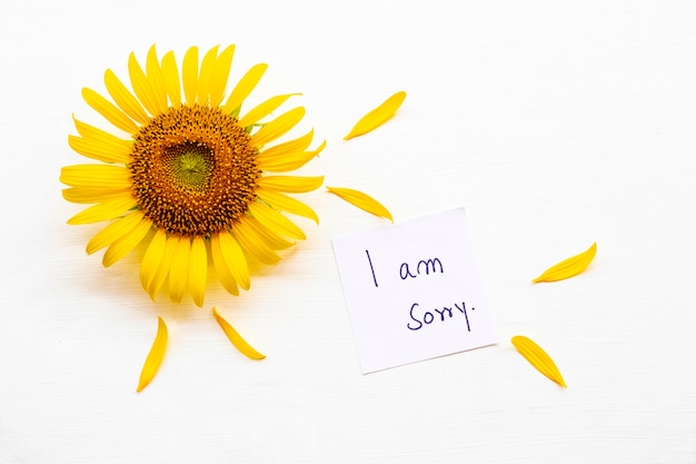 i am sorry message card with flower sunflowers