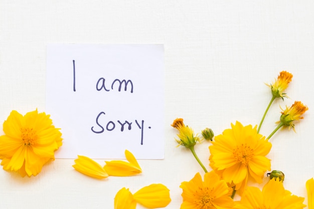 Photo i am sorry message handwriting with cosmos flowers