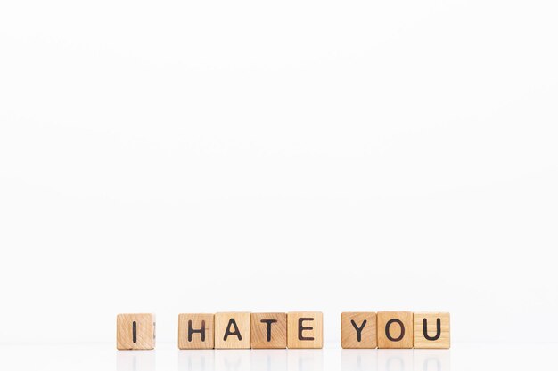 I hate you word is written on wooden cubes on a white background Closeup of wooden elements