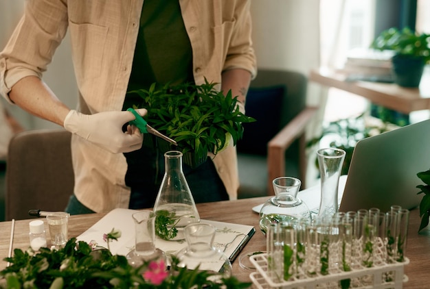 I just need a tiny bit for this experiment Cropped shot of an unrecognizable botanist trimming the leaves of a plant while working inside her office