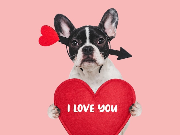 Photo i love you lovable puppy and congratulatory inscription