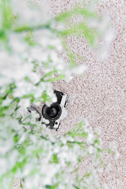 감성적인 느낌으로 필름카메라를 찍어봤습니다 안개꽃으로 보케를 만들어 봤습니다