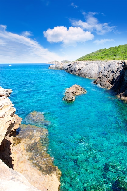 Ibiza-eiland Kanaal d en Marti Pou des Lleo strand