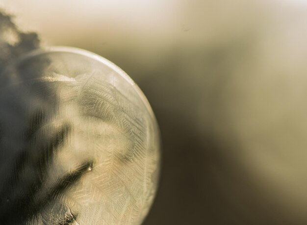 Photo ice bubble in forest