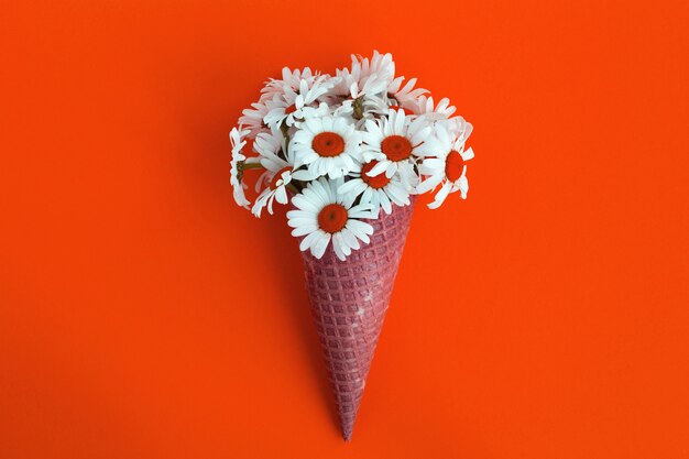 Ice cream cone with chamomiles on the red  background