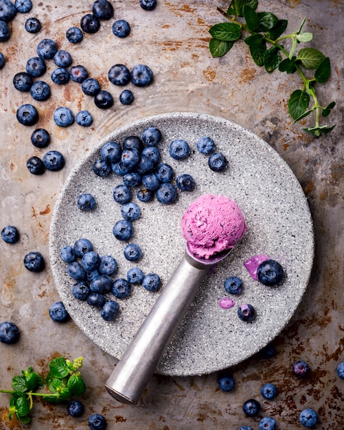 Ice cream from blueberries. Summer sweet Dessert.