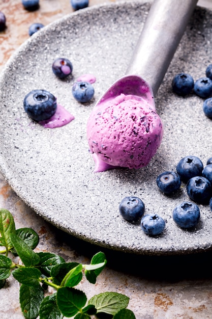 Ice cream from blueberries. Summer sweet Dessert. 