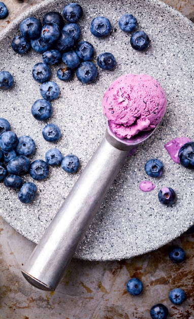 Ice cream from blueberries. Summer sweet Dessert.