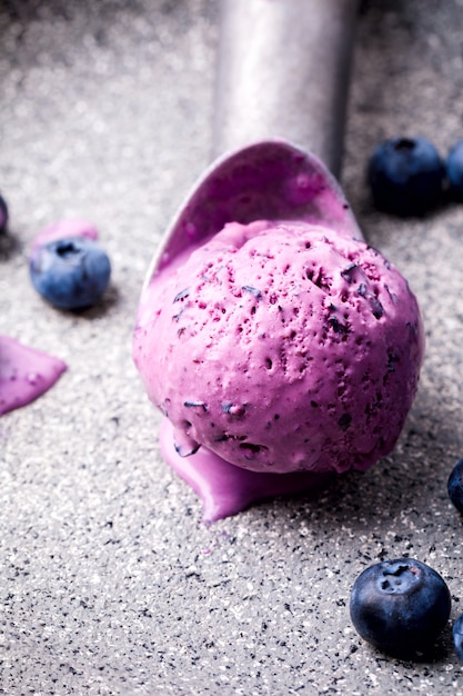 Ice cream from blueberries. Summer sweet Dessert. 