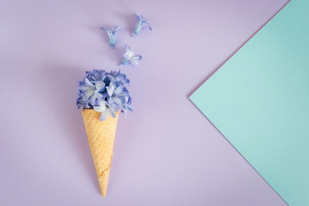 Ice cream horn or cone with purple hyacinth on a purple background.