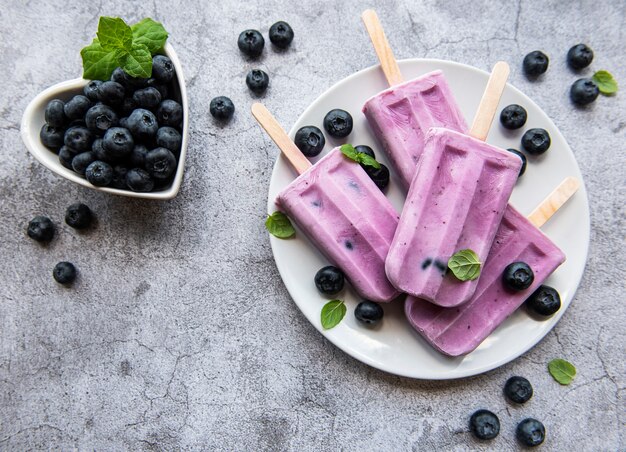 Ice cream popsicles from homemade yogurt and fresh organic blueberries.