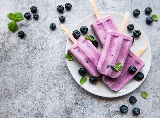 Ice cream popsicles from homemade yogurt and fresh organic blueberries.