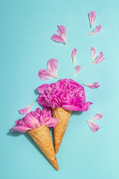 Ice cream waffle cones with peony on blue background Flower petals summer concept Romantic style