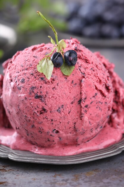 Ice cream with blueberries. Summer sweet dessert.