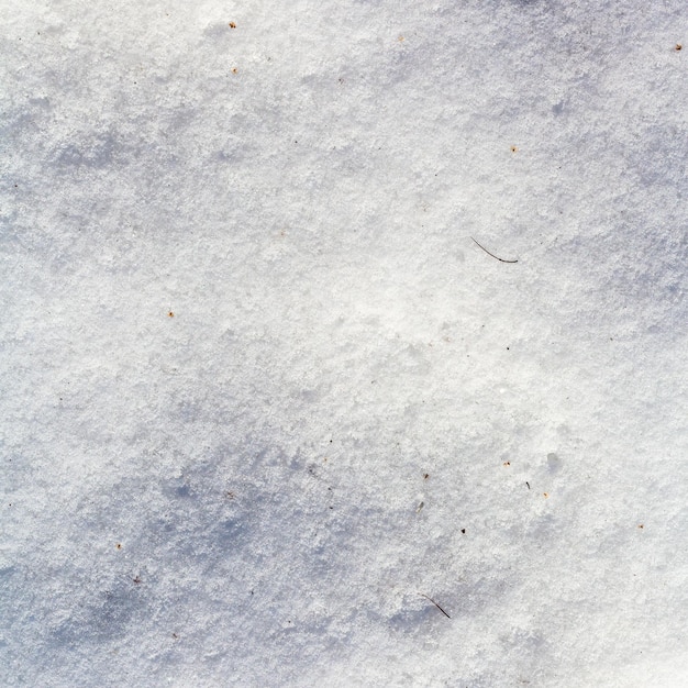 Photo ice crust on snow in cold winter day