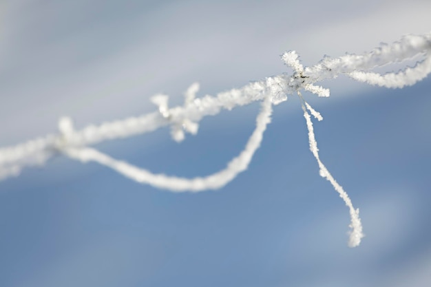 Ice Crystals On Barbed Wire