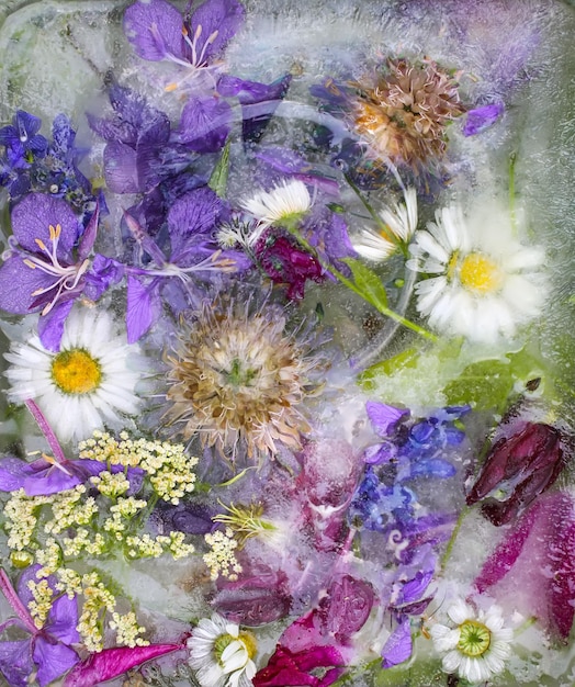 Ice cube with different summer flowers on green grass at summer.