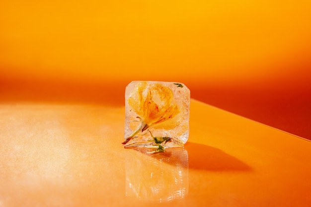 Ice cube with flower bud on table