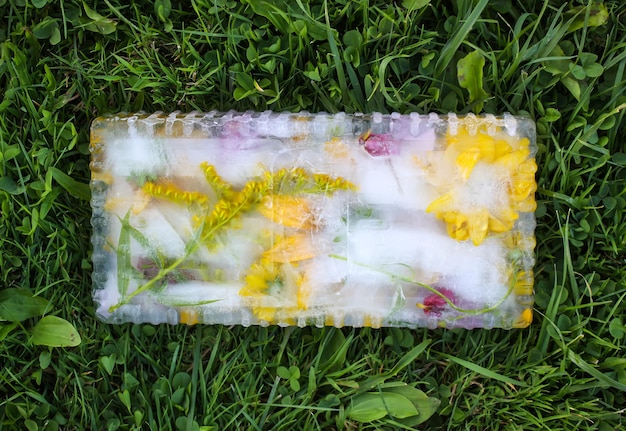 Ice cube with flowers on green grass at summer.