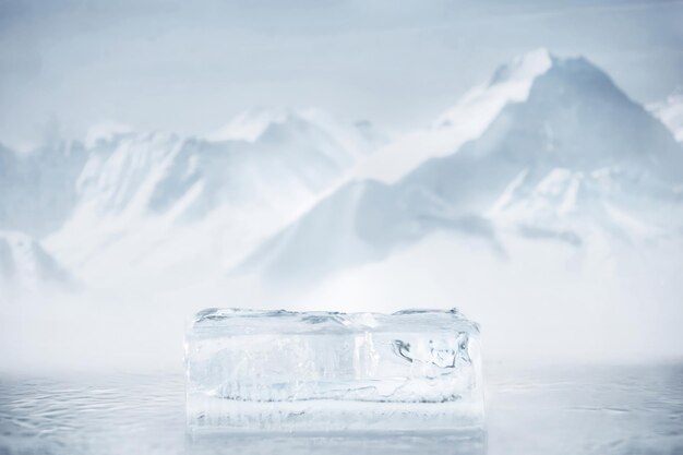 Ice cubes are in a clear container.