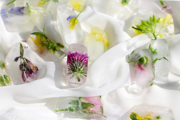 Ice cubes with flowers A hot summer day and cooling ice