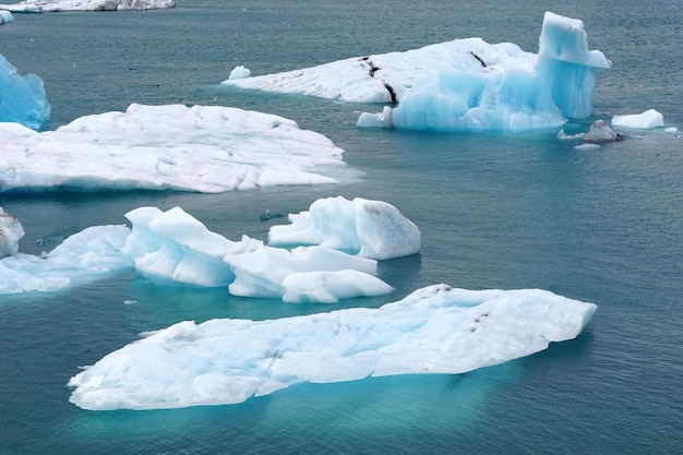 Lastroni di ghiaccio nella laguna glaciale di jokulsarlon in islanda