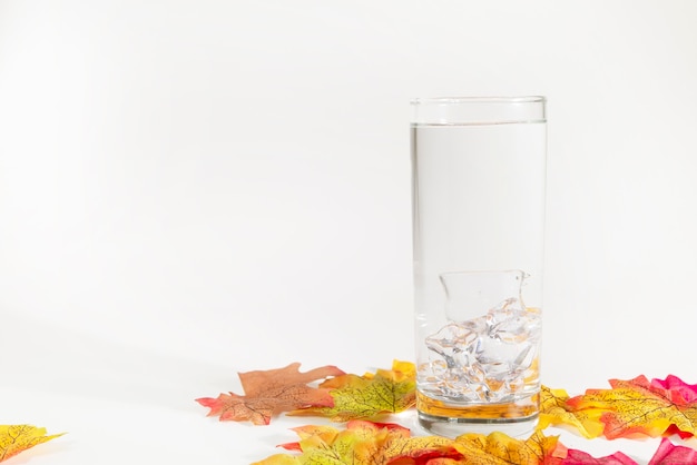 Photo ice on glass with maple leaf