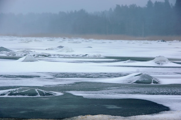 写真 冬の湾の氷のハンモックと空き地。