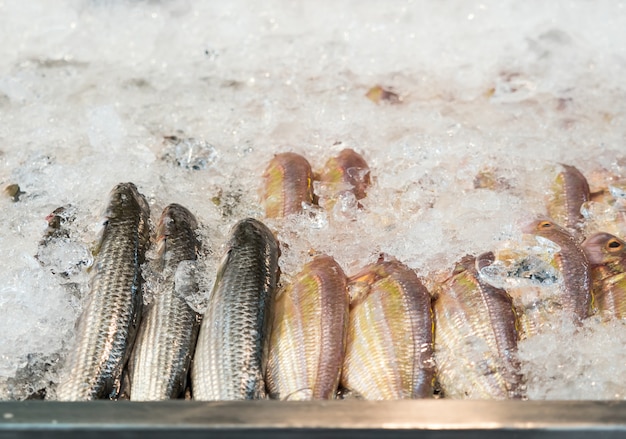 Ice keep fresh fish when sold in the market