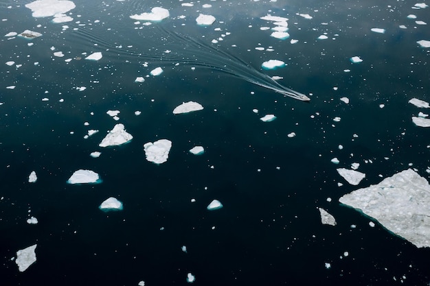 Фото Лед на море