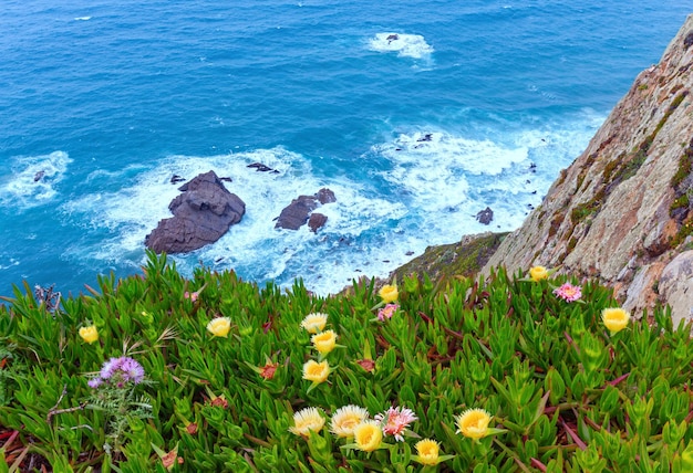 Ice plant flowers on Cape Roca (Cabo da Roca). Atlantic ocean coast view, Portugal.