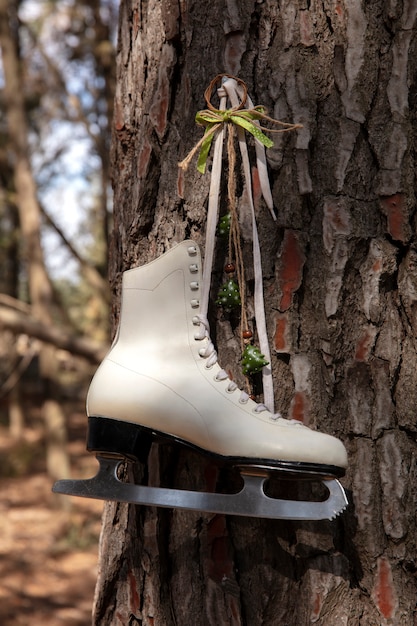 Photo ice skates outdoors still life