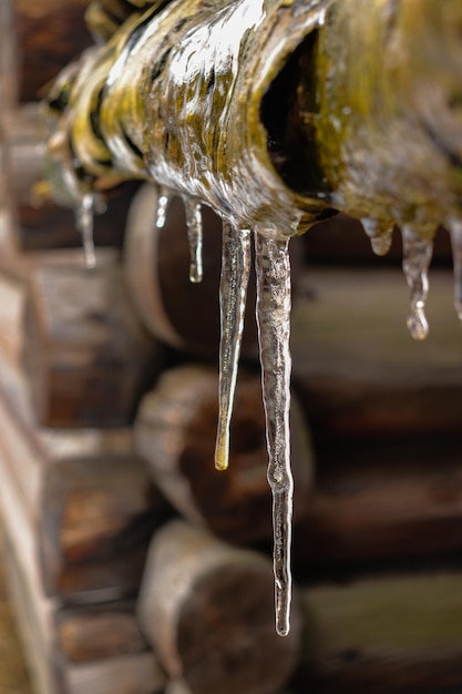 Ice stalactite thawing in spring